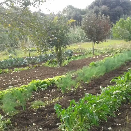 La Vecchia Cava Nyaraló