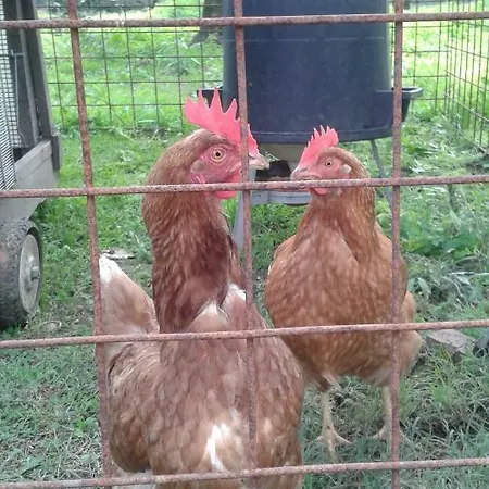 La Vecchia Cava Nyaraló Lanuvio