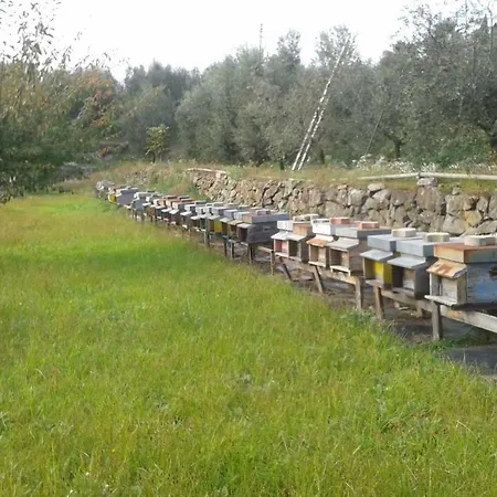 La Vecchia Cava Nyaraló