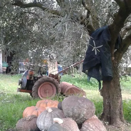 La Vecchia Cava *