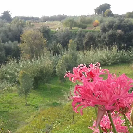 La Vecchia Cava * Lanuvio