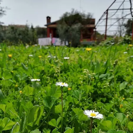 Nyaraló La Vecchia Cava Lanuvio